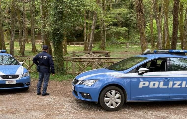 Serra San Bruno, Daspo Willy violates: three young people reported for unauthorized access to a room