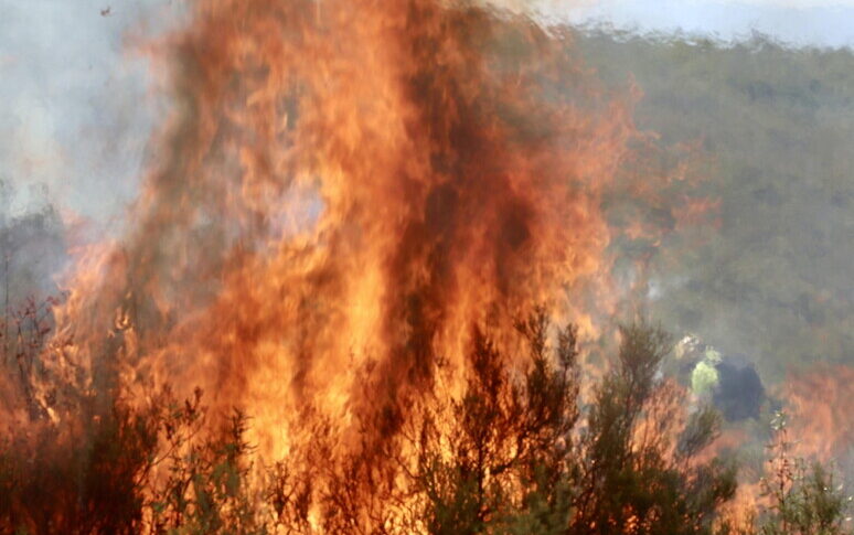 Spain on fire: hot records and bonfires devastate the country, a dead man in Madrid and thousands on the run