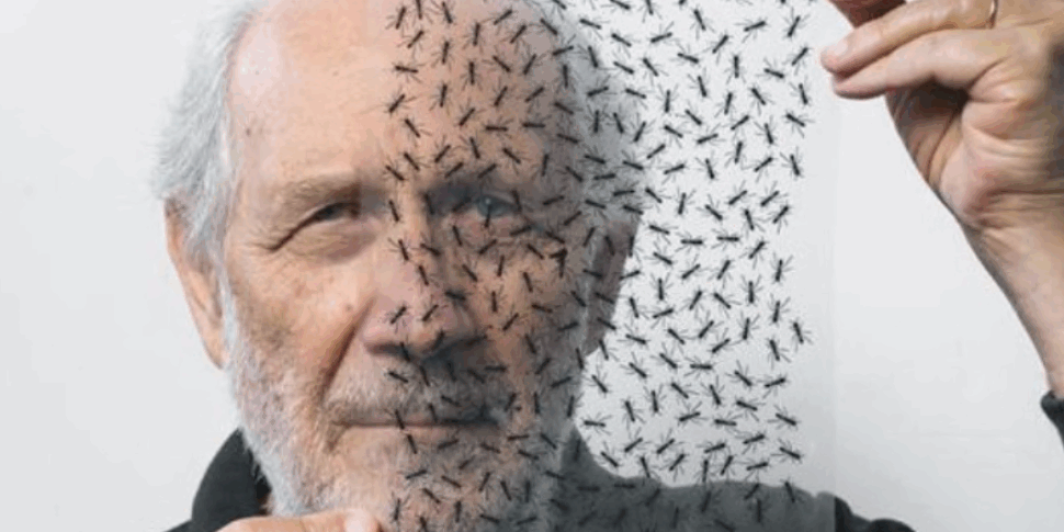 The art of watching ... deleting: in San Pier Niceto a two -day dedicated to Maestro Emilio Isgrò