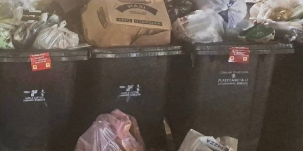 Undifferentiated wild in Messina, some condominiums reported