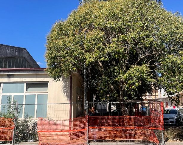 ASP Crotone: construction sites open in the area for hospitals and community houses