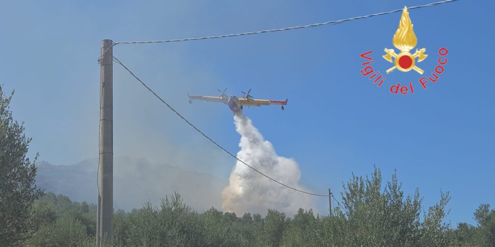 Borgia, on fire a large area of ​​forest and Mediterranean scrub: firefighters and Canadair in action