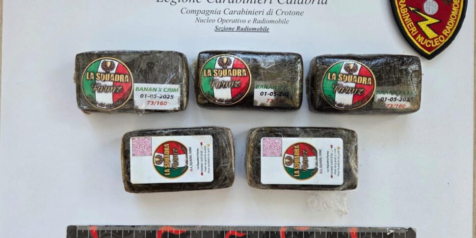 Crotone, maxi seizure of drugs in the historic center: over half a kilo of hashish hidden among the rubble