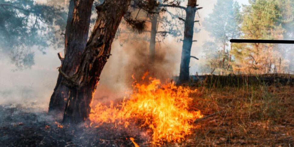 Fear in Castell'Umberto, a fire in Fornace breaks out: two people trapped between the flames