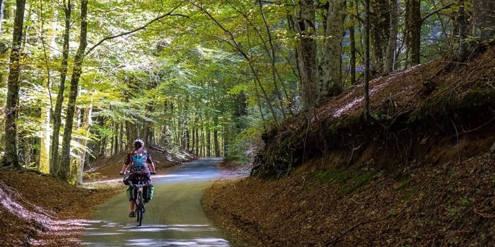 "Health cycle path": the first edition from 19 to 21 September between Catanzaro, Mancuso and Lorica village