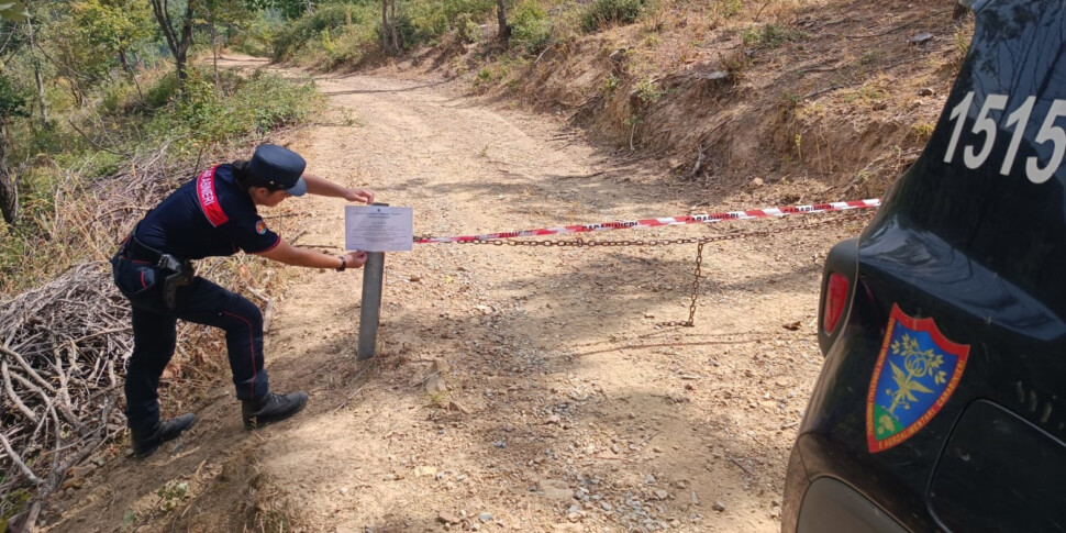 Longobucco, abusive cut: 12 hectares of forest seized. A company reported
