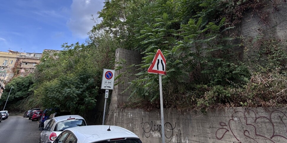 Messina, that thick "forest" that looms on the houses in the center