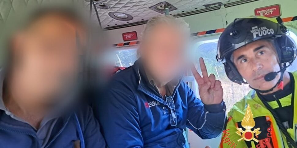 Mushrooms of mushrooms dispersed in Pedace saved by the firefighters