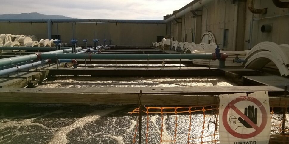 Purification in Reggio, unlocked the process for the work in Ravagnese