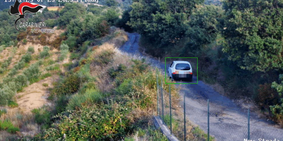 The July fire in Acri, arrested the manager. The man was stuck by the cameras