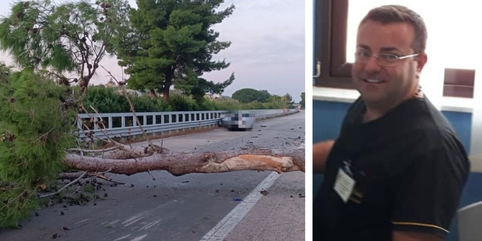 The doctor killed on the highway by a tree that precipitated on the car, in October preliminary hearing