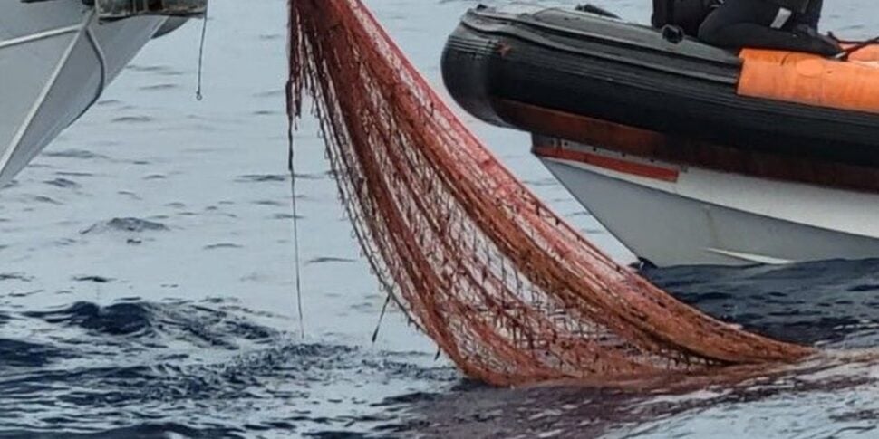 Messina, is alarm fishing of fraud in the sea of ​​Capo Peloro