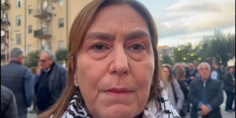 Regional in Calabria, Bruno Bossio: "Tridico represents the interests of the last"