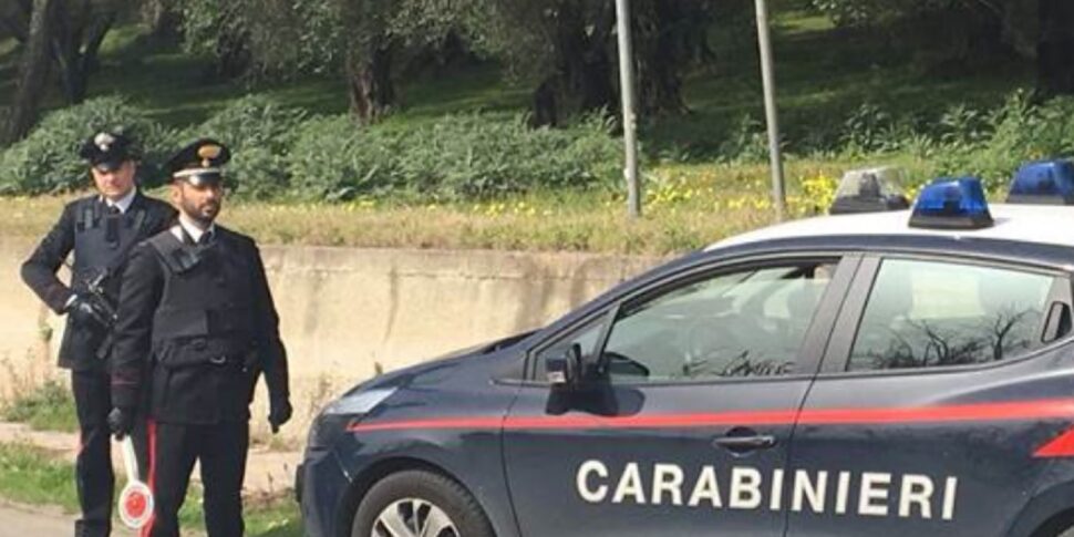 'Ndrangheta: structure, names and chain of command: this is how the repentants explain the Bellocco gang