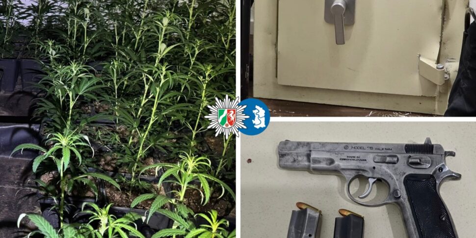 Drugs from Locride to Duisburg, seizures and searches in the shadow of the 'ndrine