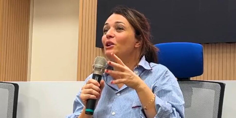 Brothers of Italy against Carmen Consoli: “She insulted Giorgia Meloni, sad decline”