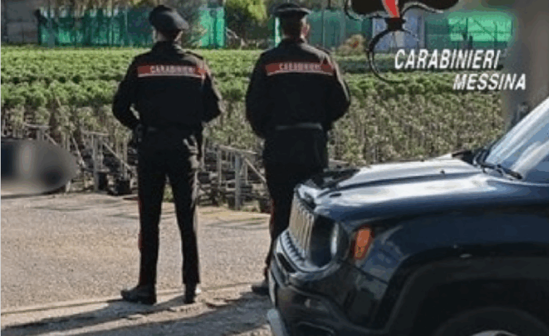 Gangmastering in Terme Vigliatore: this is how nursery workers were exploited and underpaid. THE NAMES