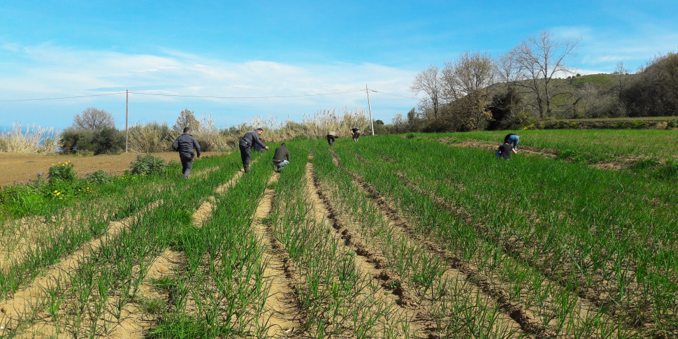 Midday at the top for the underground economy, Calabria black jersey