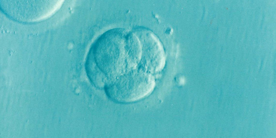 Shock in Europe, cancer risk gene in a Danish sperm bank: almost 200 babies born