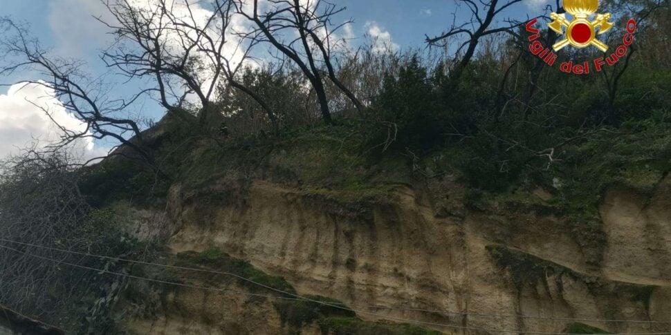 Pizzo, unsafe trees on a sheer ridge: firefighters intervene