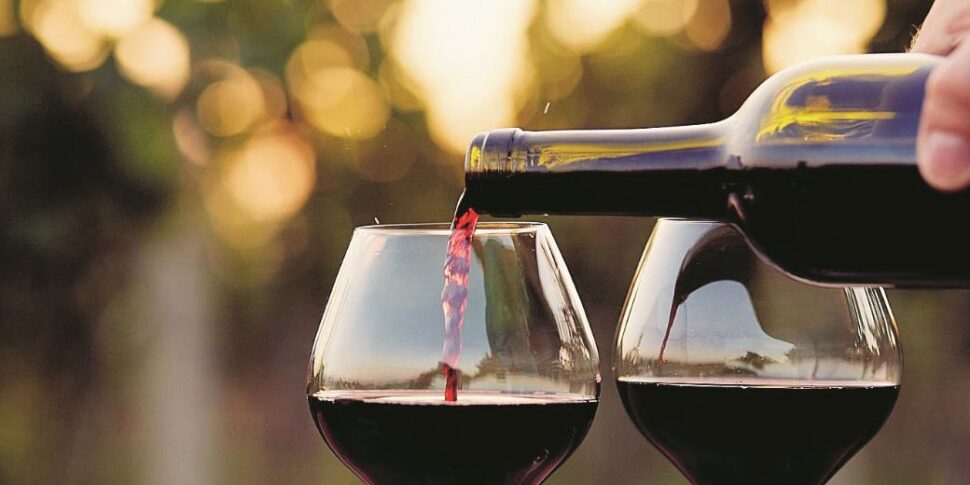 Wine as a pillar of tourism: the 2026 guide on newsstands from today with Gazzetta del Sud