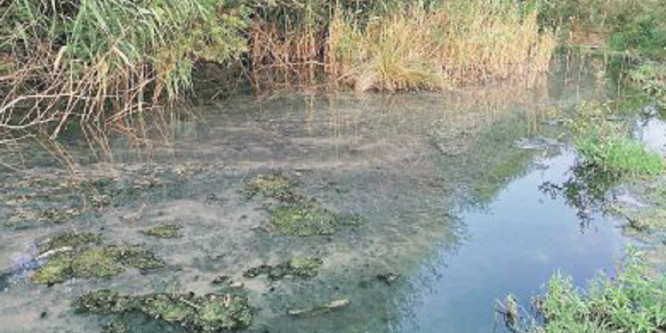 Reclamation of the Corace river: 200 thousand euros to the Municipality of Catanzaro for the environmental restoration of the banks