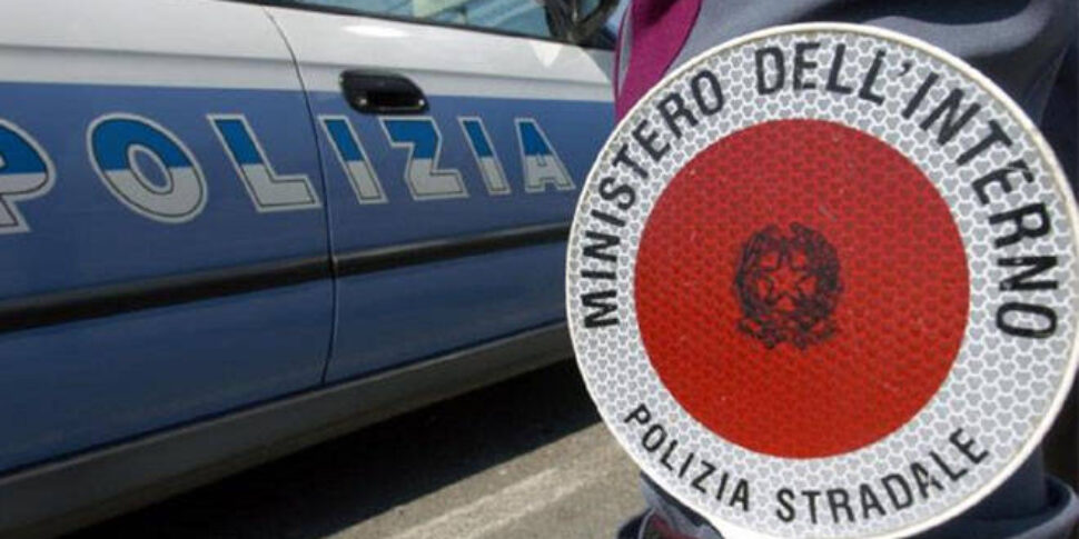 He was driving a lorry with false documents, a Vibo native arrested in Reggio