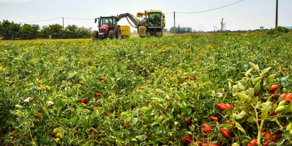 Agriculture, Copagri Calabria: diesel +46% in 10 days and increases also on fertilizers