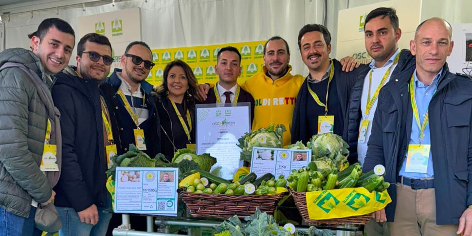 Coldiretti's Oscar Green national award: Calabria on the podium with the Pianogrande agricultural cooperative society of Decollatura PHOTO
