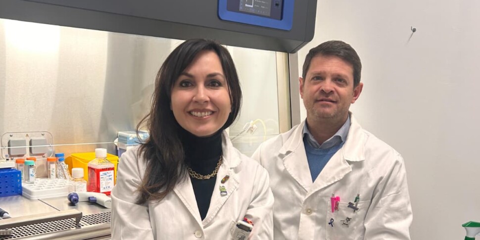 Unical, study on breast cancer: silodosin slows down cell growth
