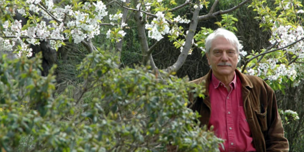 Domenico Cacopardo, heart of Messina. Today the writer and former magistrate turns 90