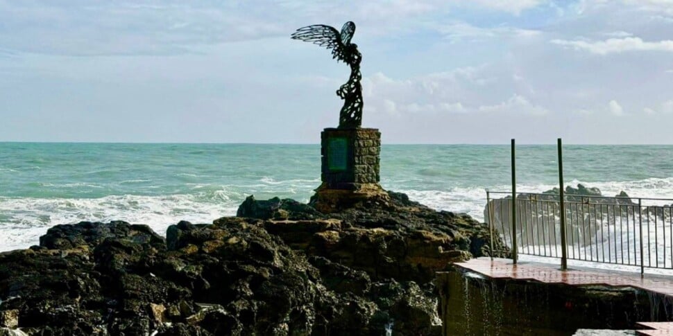 Government supplementary amendment on compensation for families and businesses for Cyclone Harry