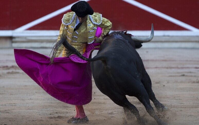 Malaga, tragedy at the Picasso bullfight: former matador Ortiz dies