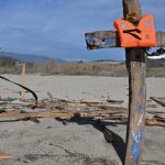 "There was no one at sea, only the dead." Cutro shipwreck: the dramatic testimony of the fishermen at the trial on the alleged delays in the rescue