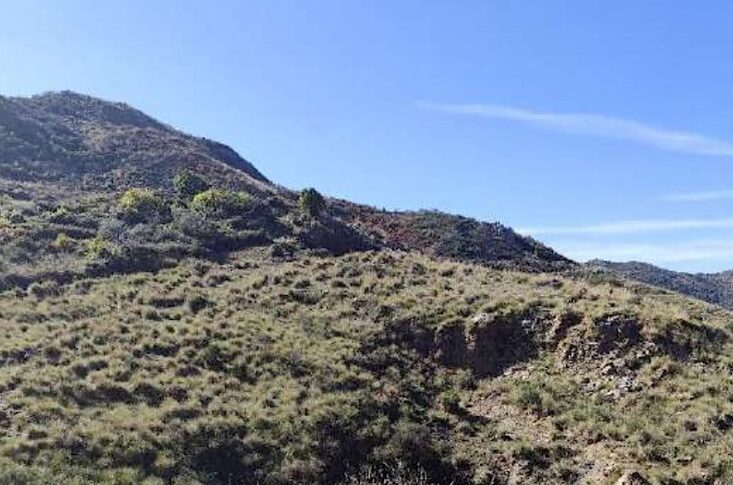 Three Nebrodi municipalities launch the "green" challenge