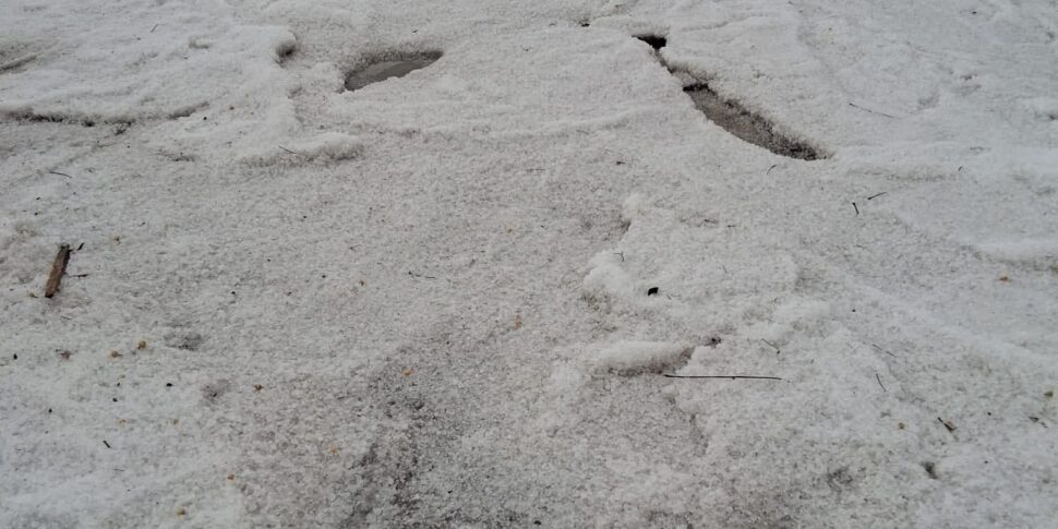 Violent hailstorm in the Cosentino area: agriculture on its knees. Fields also flooded in the Crotone area