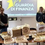 5 thousand fake pizzas and "Made in Italy" labels seized at the port of Barletta. Searches also in Reggio Calabria