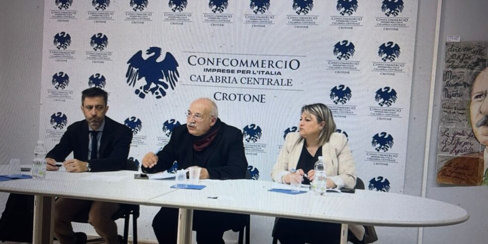 Barresi's recipe for Crotone: a vast area with Catanzaro and Vibo