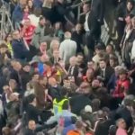 Brawl in the stands at Palermo-Catanzaro, accusations mixed between the clubs: stewards and security also targeted