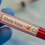 Ebola virus: 204 deaths to date in the Democratic Republic of Congo