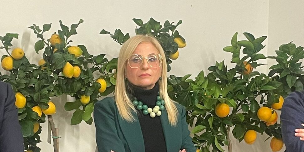Elections in Barcelona, ​​administrative reorganization at the Municipality: Scolaro focuses on staffing and strengthening the computerization process