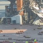 Fear at the port of Gioia Tauro, a crane falls: worker injured