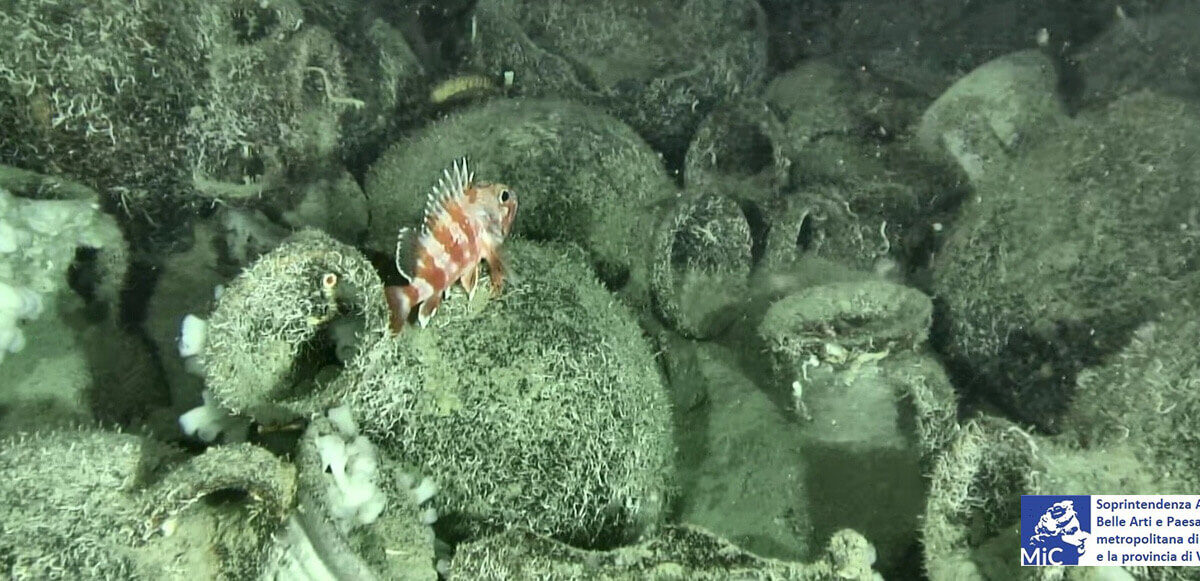 History emerges from the wind turbines: the offshore plant reveals a wreck with 300 amphorae from the 5th century BC off the coast of Monasterace