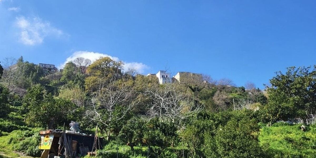 Landslides, safety works begin in the Ringa district in San Pier Niceto PHOTO