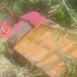 Serious accident on the SS18 in Fuscaldo: truck falls into a cliff, the driver is seriously injured