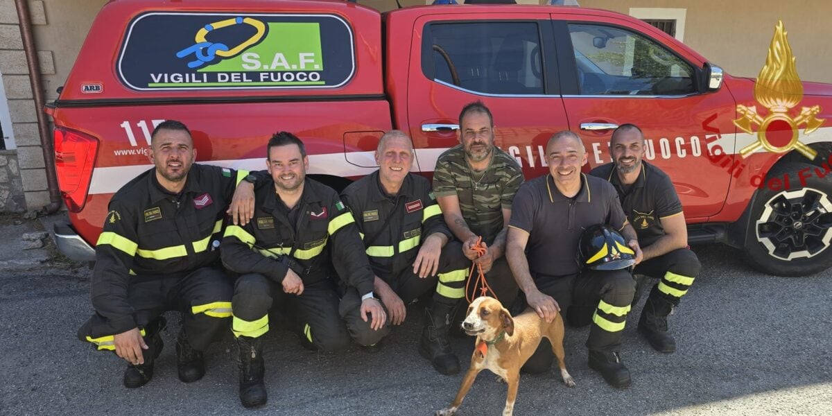 Slips off a cliff to save the dog: man and animal recovered by the firefighters in Domanico