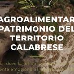 CALAgriFood is born, the platform that connects agriculture, innovation and sustainability
