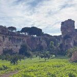 «The Metamorphoses» from Ovid to the Latomie