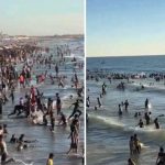 Gaza, videos of families and children on the beach in the shadow of the rubble