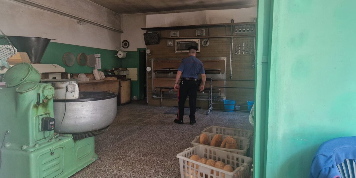 Hygiene-sanitary irregularities in a panic factory in the Catanzaro area, the owner fined